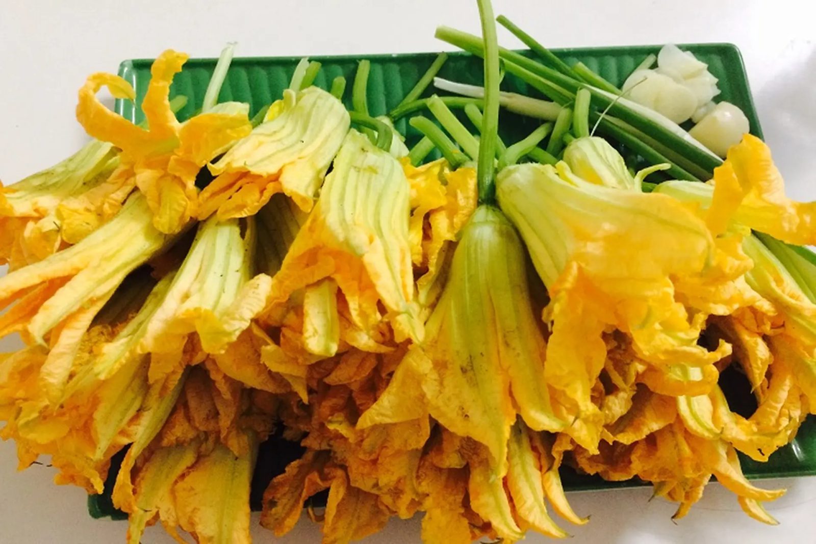 Bông bí